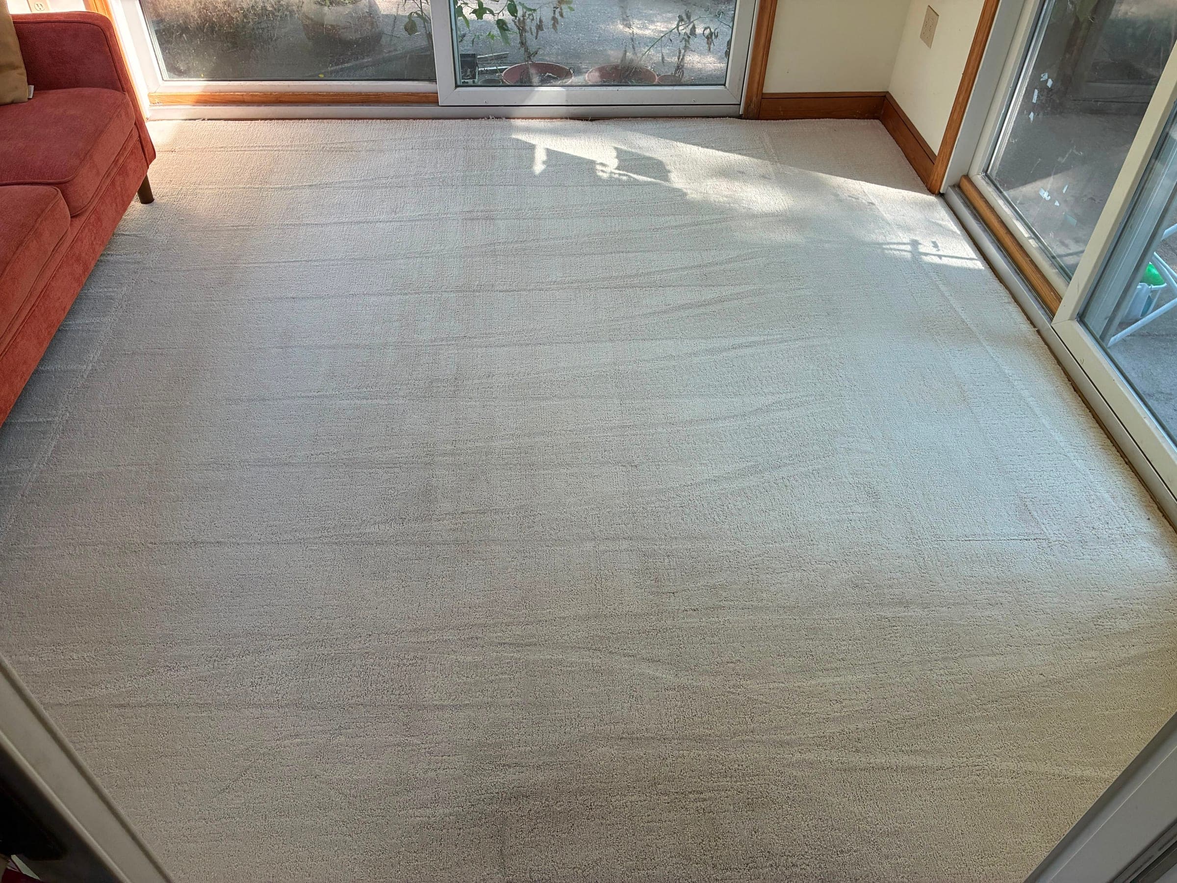 A living room carpet after a real NovaSpark deep-clean job, stains fully lifted