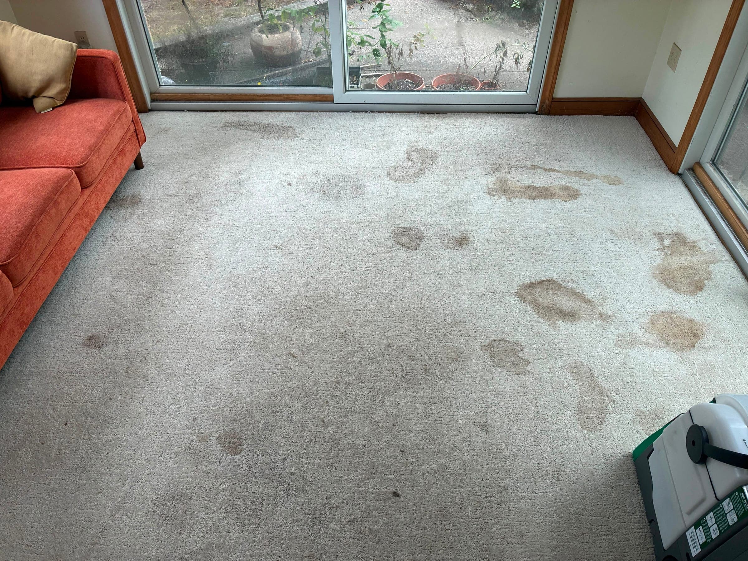 Living room carpet with visible dark stains before NovaSpark carpet cleaning